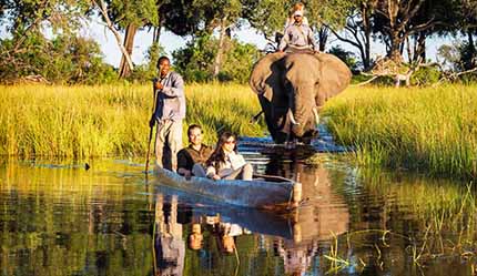 Africa