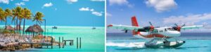 Cocoon Incentives offering quirky add-ons in the Florida Keys