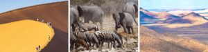 Classic Namibia safaris with a creative DMC