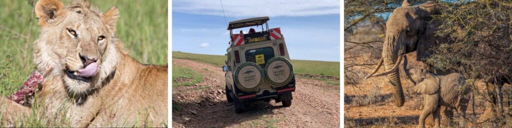 Authentic Safaris in Kenya & Tanzania with African Quest Safaris