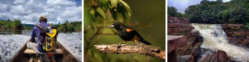 Special Interest Trips in Guyana